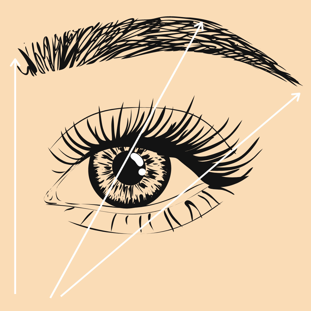 How Do Eyebrows Shape The Face?